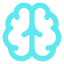 Brain